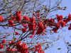 0510.jpg (172854 byte)