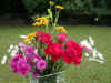 1565.jpg (98309 byte)