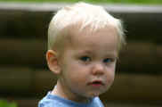 c0026kl.jpg (33924 byte)