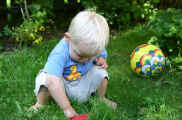 c0033klb.jpg (102423 byte)