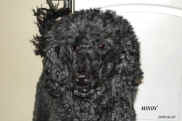 dsc00018-kltext.jpg (63253 byte)