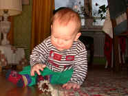 2982fb.jpg (87558 byte)